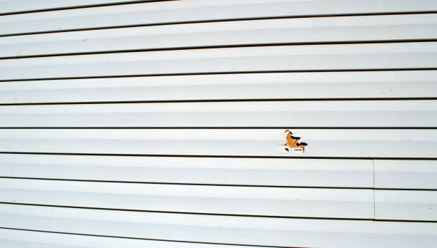Best Historical Building Siding Restoration  in Cutler, CA
